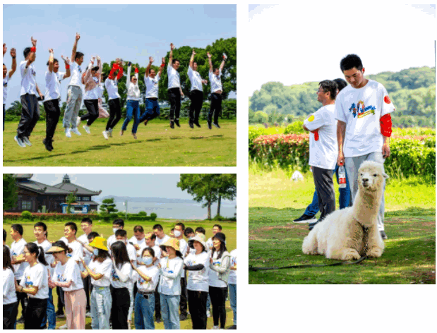 流金十載，共贏未來