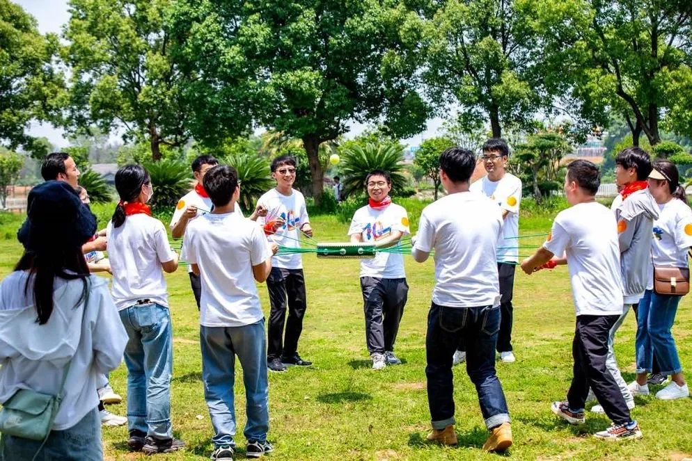 流金十載，共贏未來