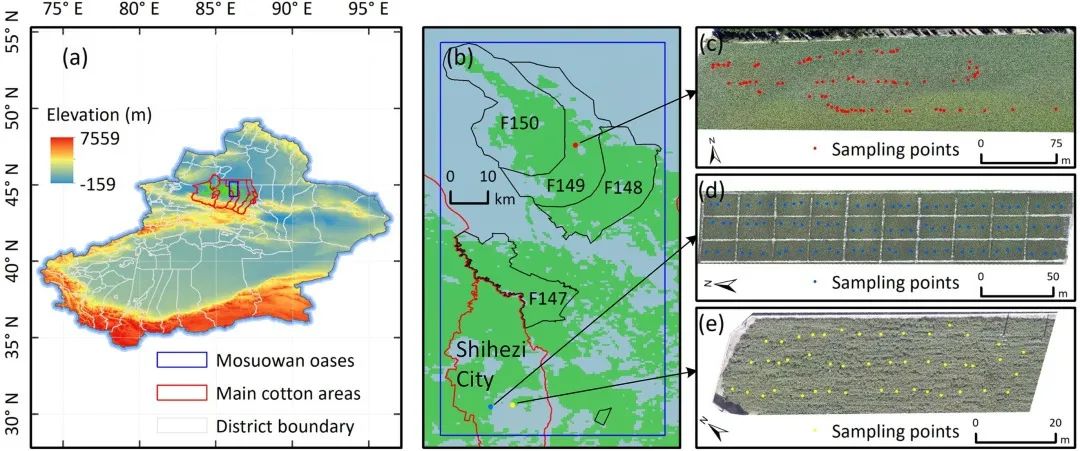 利用卷積神經(jīng)網(wǎng)絡從原位冠層圖像和光譜評估棉花黃萎病的嚴重程度