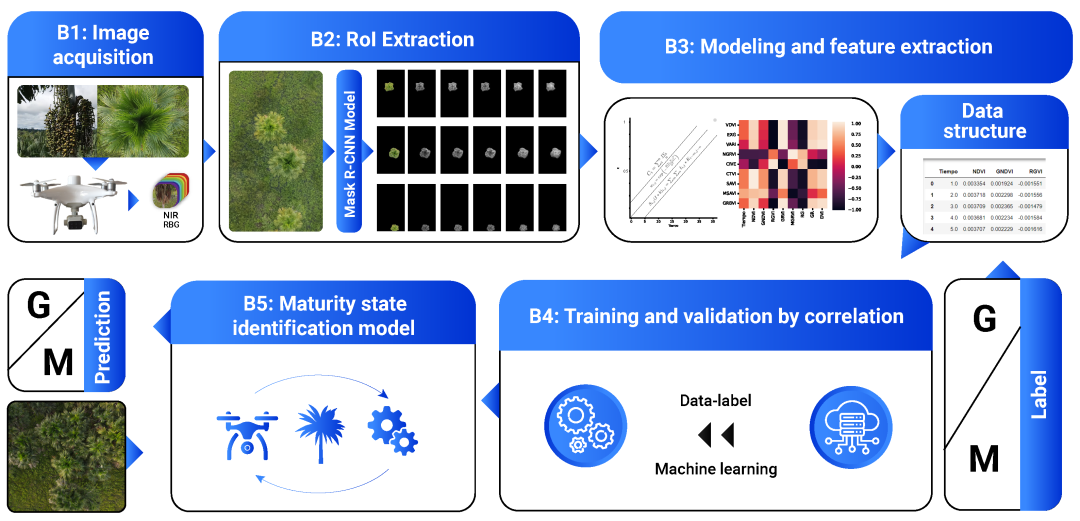 基于植物-冠層模型的亞馬遜棕櫚果實(shí)成熟度航空識(shí)別